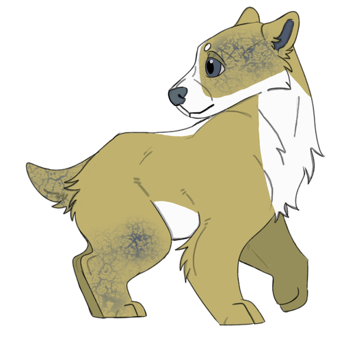 IMG 0044.png