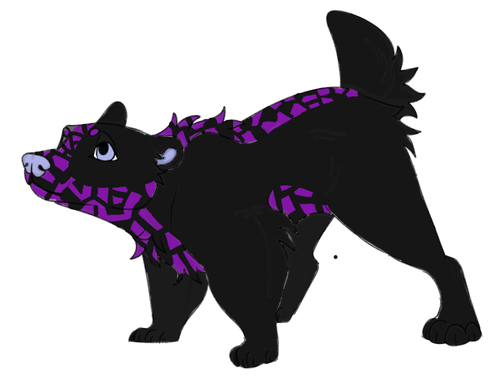 IMG 0040.png