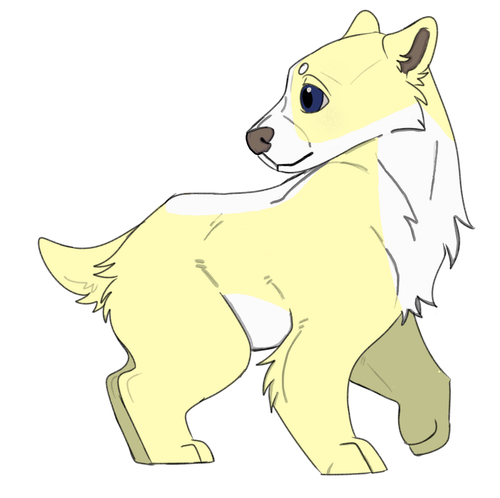IMG 0043.png