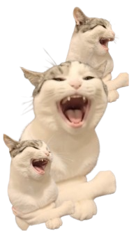 Untitled design removebg preview.png