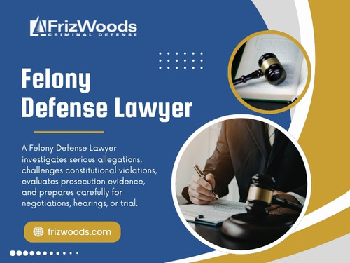 Felony Defense Lawyer.jpg