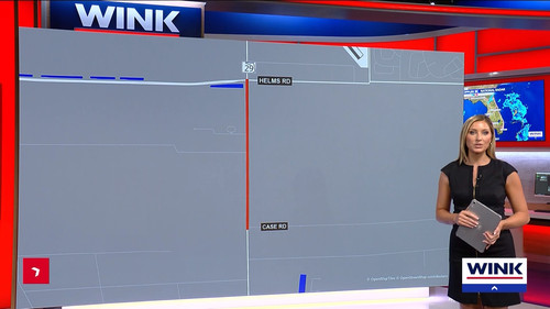 08.30 04.00.00 WINK News at 11 ᴺᵉʷ. Local and regional news..ts snapshot 00.36.06.551