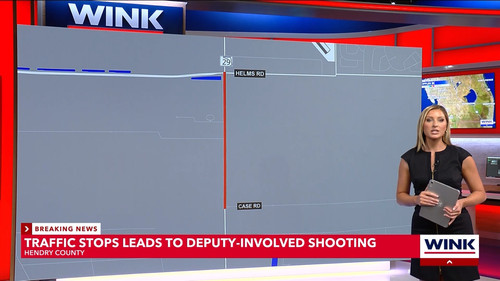 08.30 04.00.00 WINK News at 11 ᴺᵉʷ. Local and regional news..ts snapshot 00.36.17.850