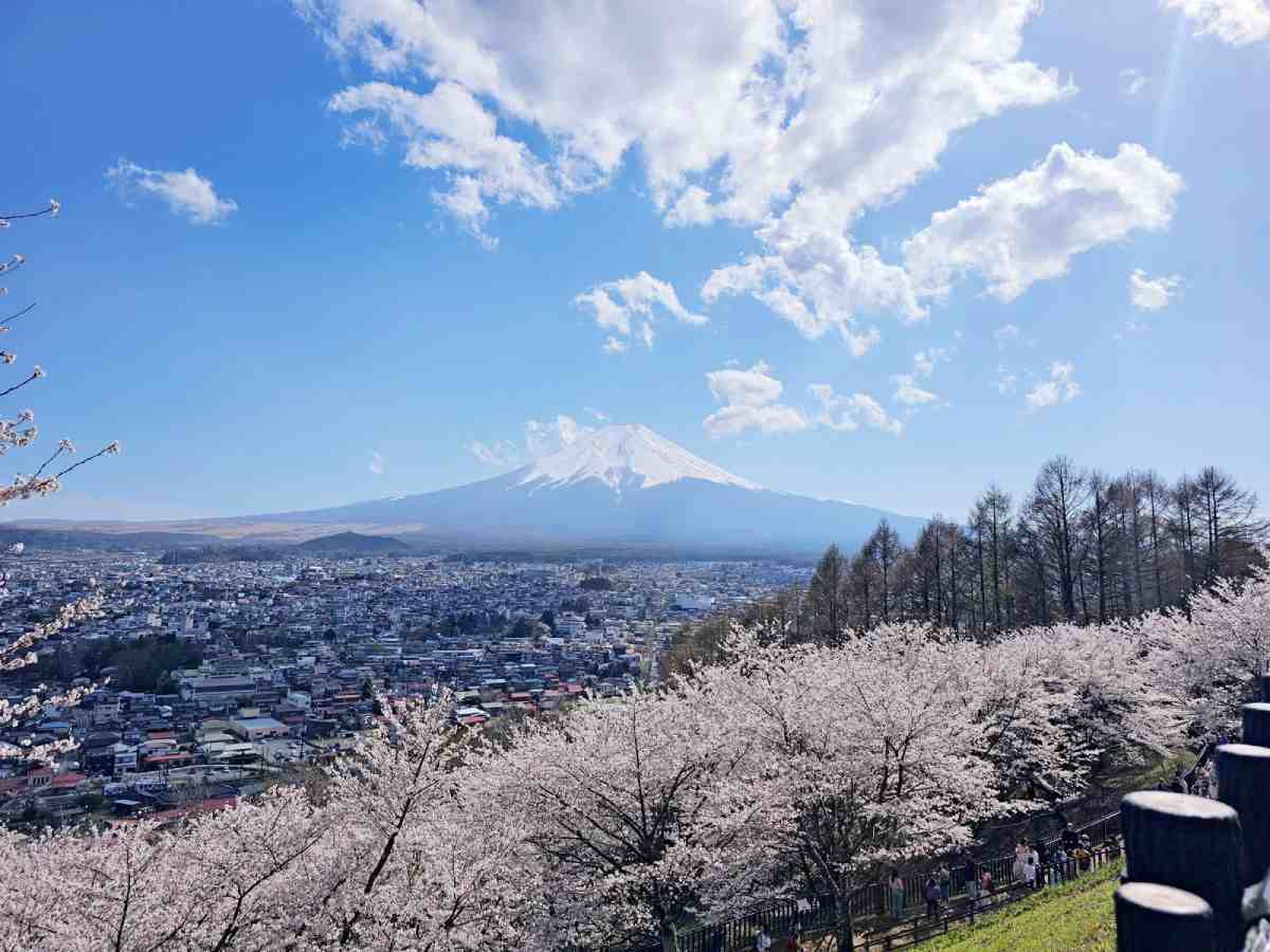 fuji