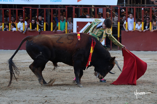 215A1669.jpg