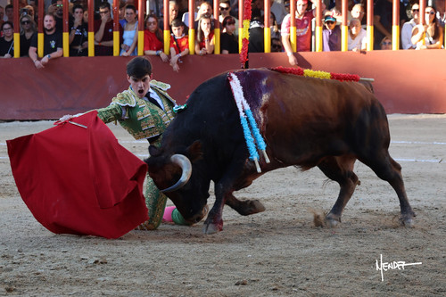 215A1588.jpg