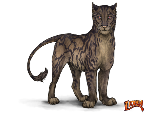 lioden wardrobe (2).png