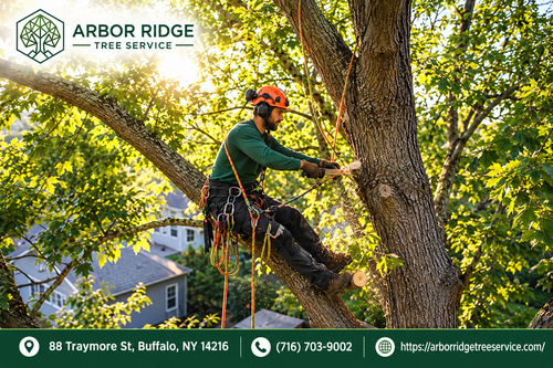 Arbor Ridge Tree Service Banner.png