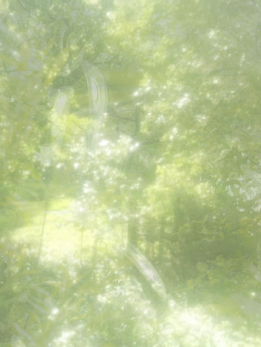Screenshot.1
