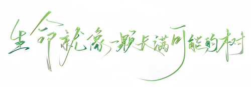 IMG 6016.2