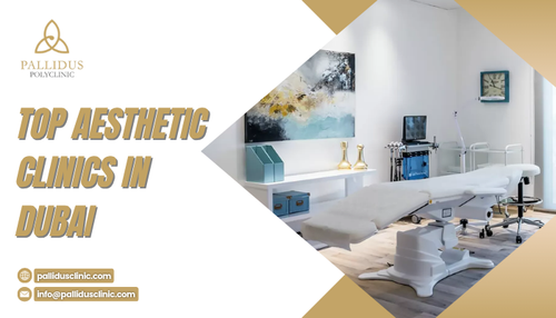 Top Aesthetic Clinics In Dubai.2
