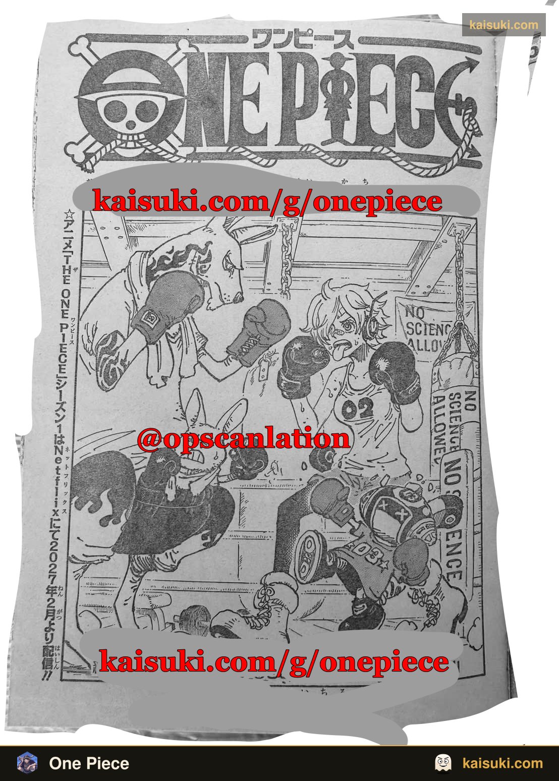 rocketspoiler.com