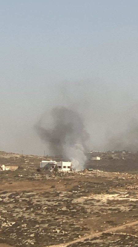 صورة الخبر