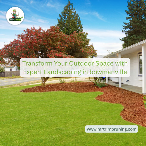 Easy Ways to Improve Your Garden and Outdoor Landscape.jpg