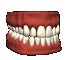 48.gif