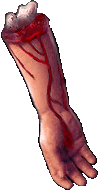11.gif