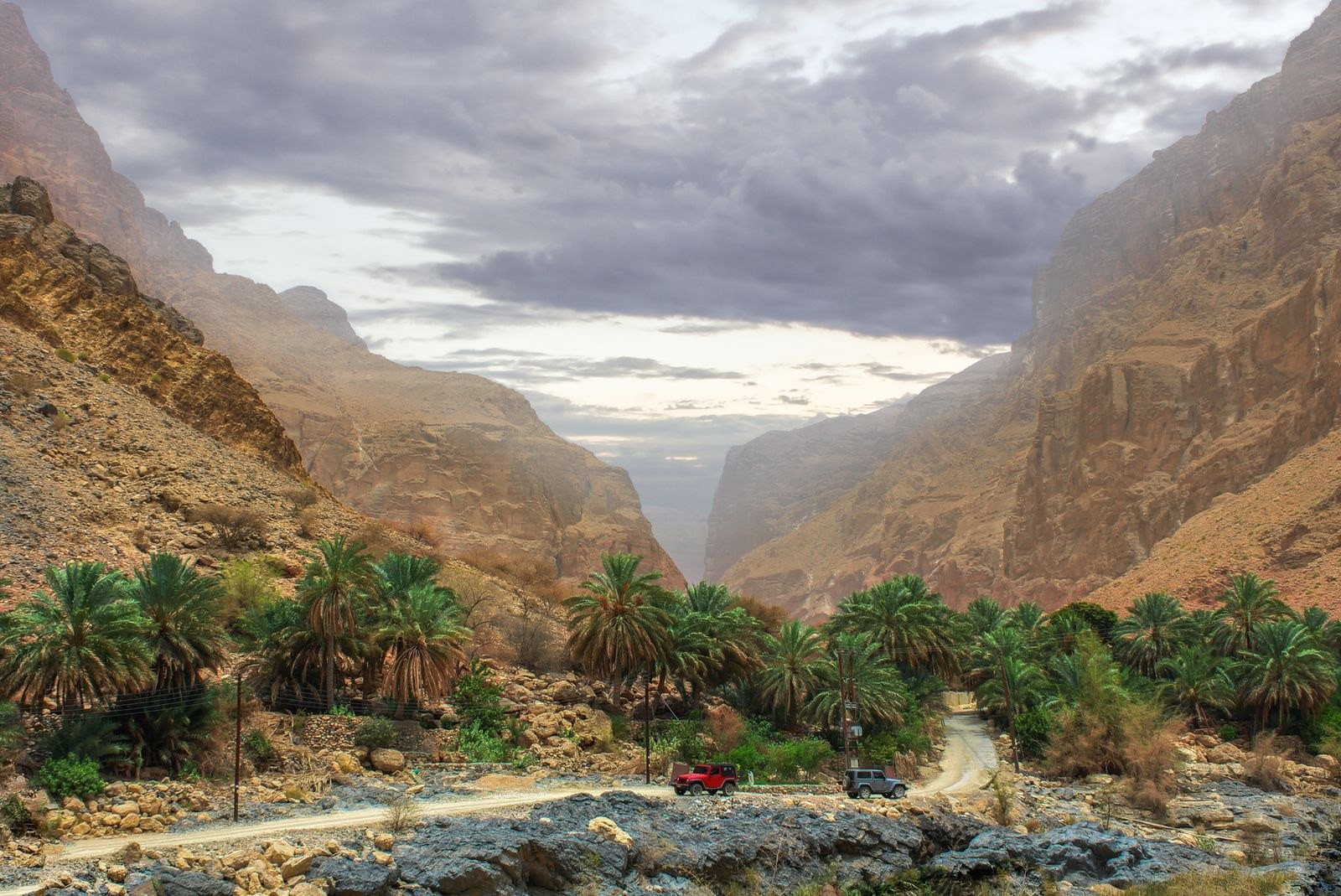 Palm trees and a track at the foot of a steep wadi canyon in Oman