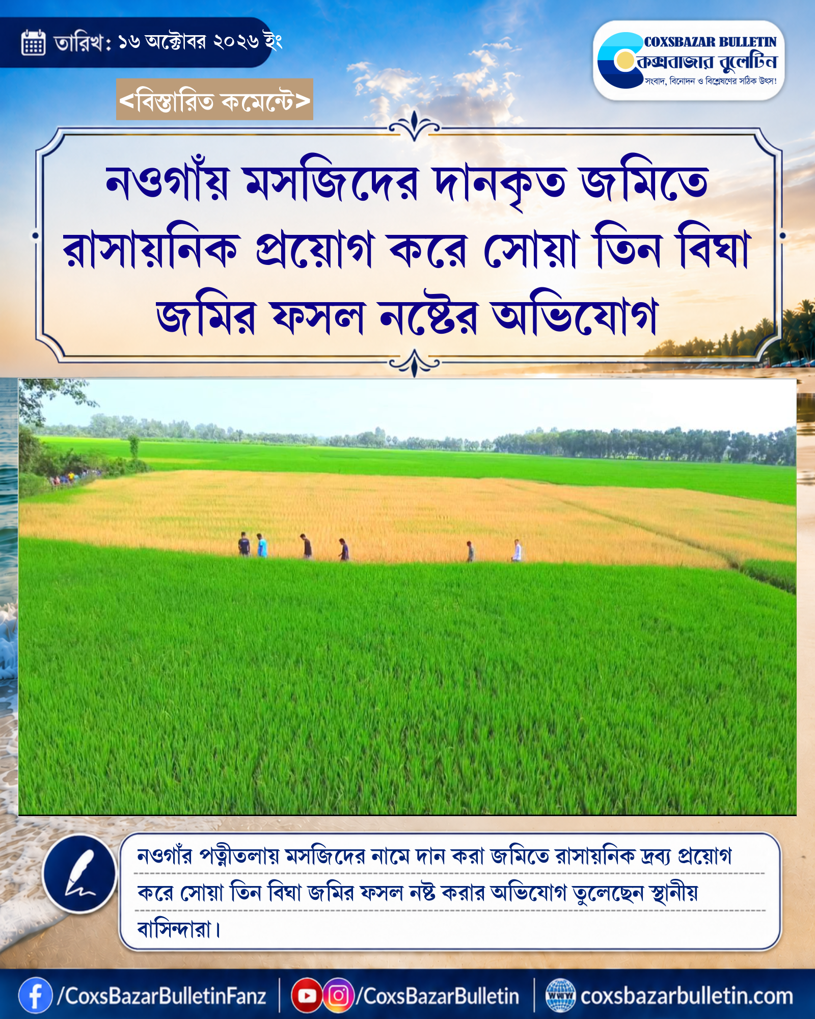 নওগাঁয় মসজিদের দানকৃত জমিতে রাসায়নিক প্রয়োগ করে সোয়া তিন বিঘা জমির ফসল নষ্টের অভিযোগ