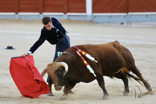 image00023