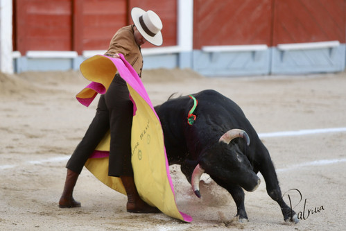 image00028