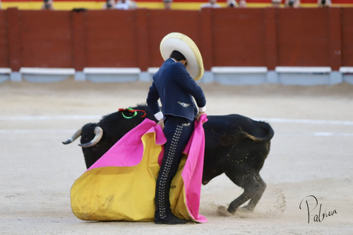 image00035