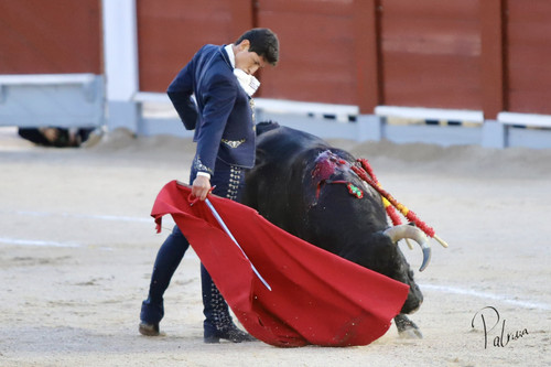 image00042
