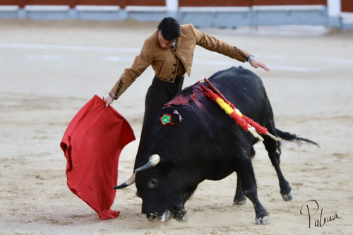 image00031