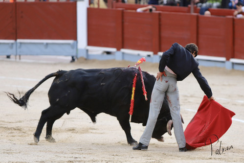 image00010