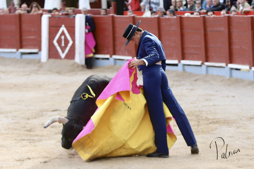 image00014