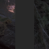 Arachnophobia (1990) 2160p HDR Ai Upscale Screenshot7 Mesc