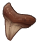 IMG 7710.png