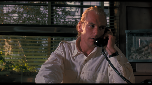 Arachnophobia (1990) 2160p HDR Ai Upscale Screenshot11 Mesc.png