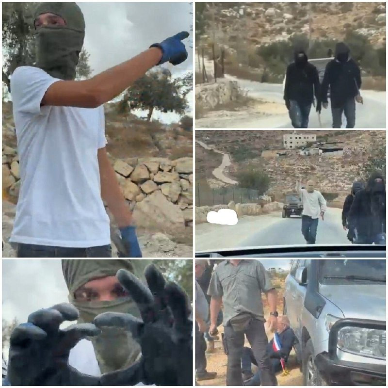 صورة الخبر