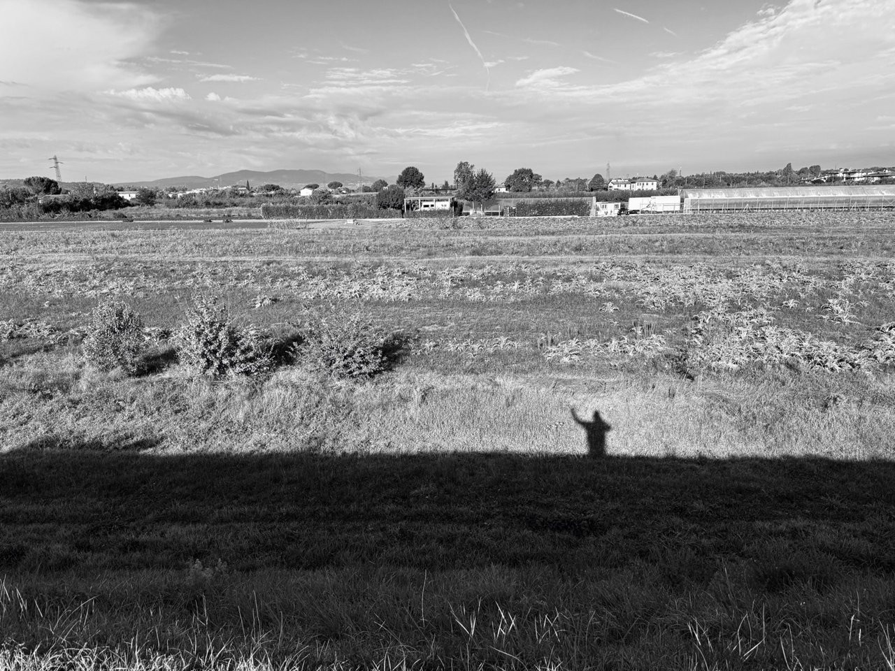 L'ombra che saluta