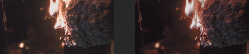 Project Arachnophobia (1990) 4K HDR.png