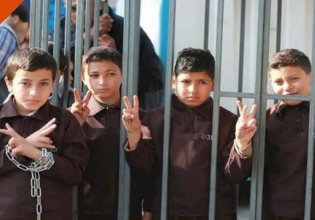 صورة الخبر