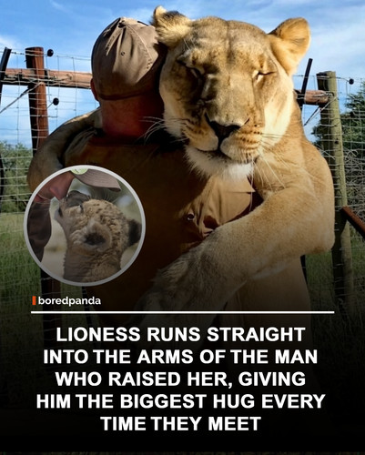 img facts.jpg
