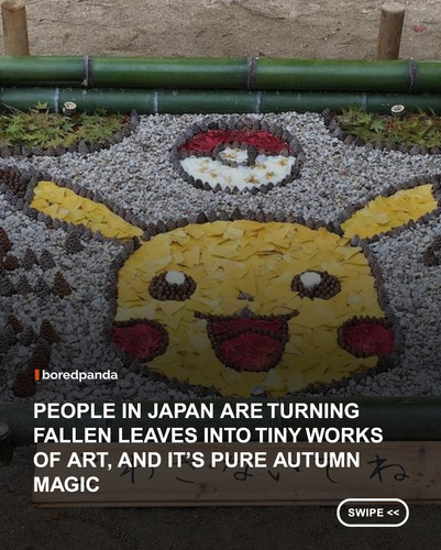 japan autumn.jpg