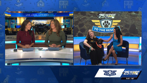 10.14 14.00.00 WPBF 25 News at 9 00am ᴺᵉʷ. Stay informed with th....ts snapshot 48.12.429