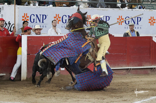 215A0974