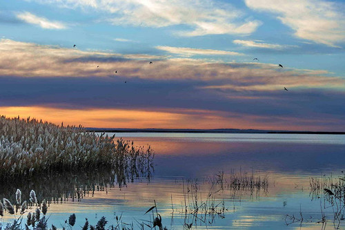 juyan lake 512 2.jpg