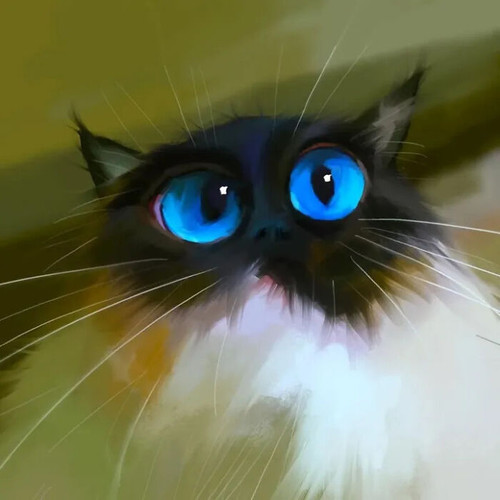 cat street art 1739676608 3568988524507470111 52964368796 6acec7ae1debd 700.jpg