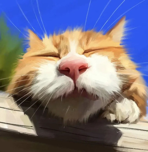 cat street art 1739676608 3568988524398263323 52964368796 6acec78e5c71f 700.jpg