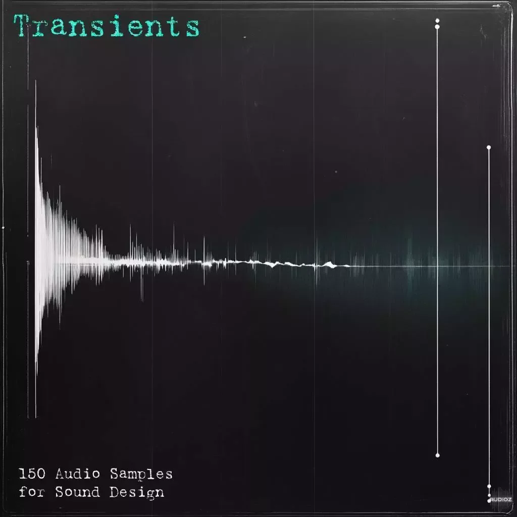 Eric Bowman Transients Sample Pack WAV VITAL PRESETS-GTA