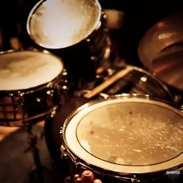 Ableton Live 12 Session Drums Studio v9.2 [ALP]
