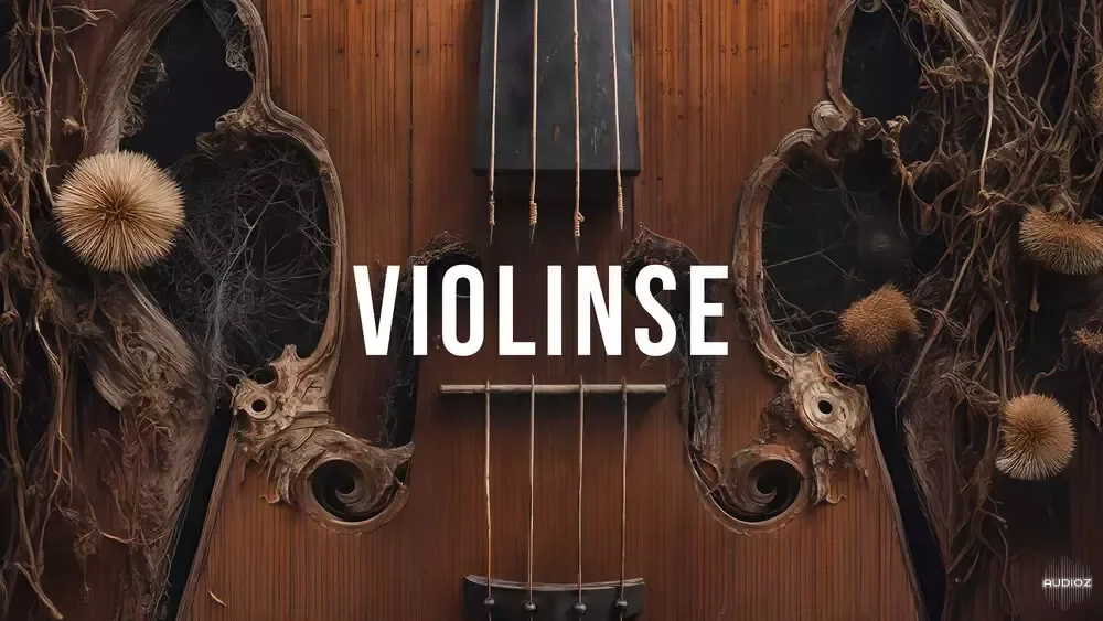 Steinberg Violinse for Padshop 2