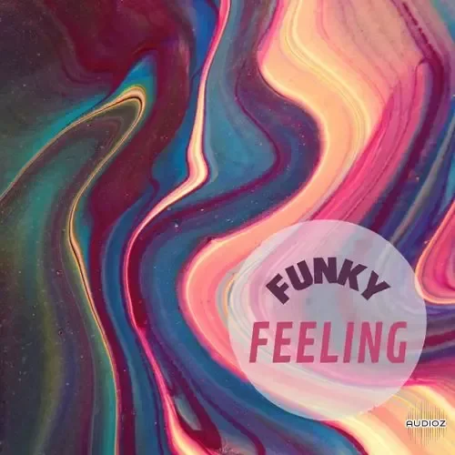 PrzystekRecords Funky Felling WAV MiDi-FANTASTiC