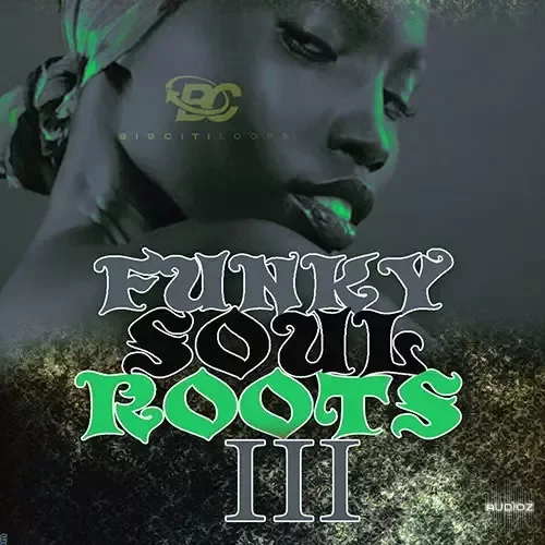 Big Citi Loops Funky Soul Roots 3 WAV MiDi-FANTASTiC