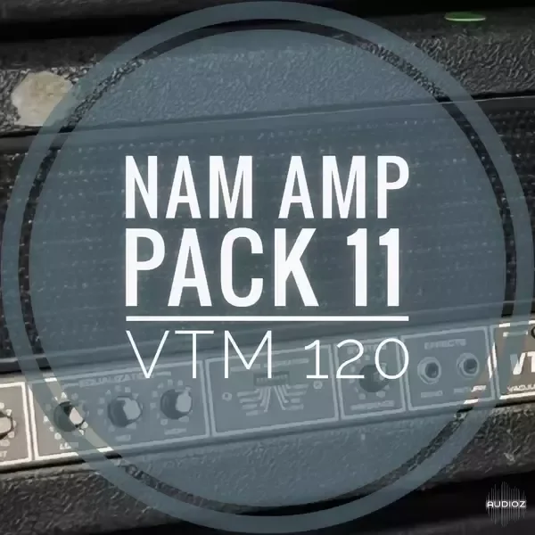 MirrorProfiles NAM Amp Pack 11 - VTM120