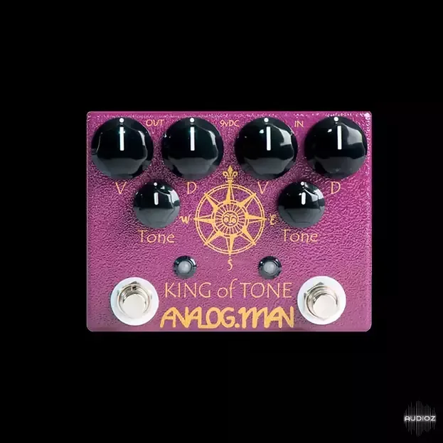 Sultans of Stomp SOS 39 The King! ToneX NAM